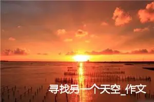 寻找另一个天空_作文650字_高考作文