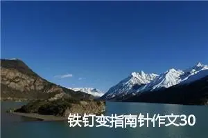 铁钉变指南针作文300字_小学一年级作文