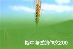 期中考试的作文200字_中考作文