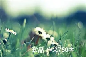 珍品_作文750字_高中作文范文