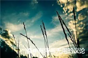 高中有用与无用的议论文作文【三篇】_高中议论文作文
