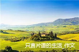 只言片语的生活_作文900字_高中作文范文