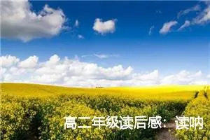 高二年级读后感：读呐喊后的感想_作文850字_高中读后感