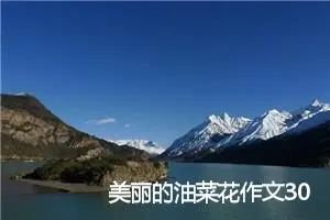 美丽的油菜花作文300字_小学一年级作文