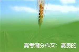 高考满分作文：高贵的灵魂与傲慢的施舍_高考满分作文