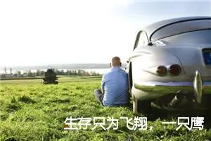 生存只为飞翔，一只鹰的自述作文900字_高一作文