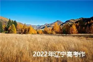 2022年辽宁高考作文_作文100字_高考作文
