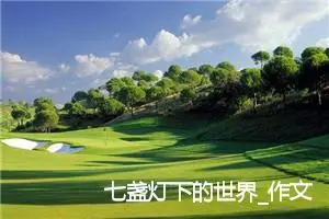 七盏灯下的世界_作文750字_高中优秀作文
