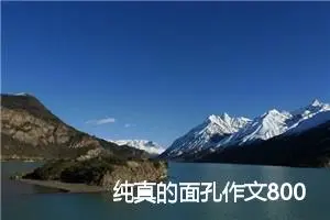 纯真的面孔作文800字_高一作文