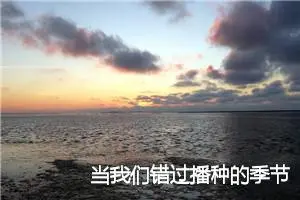 当我们错过播种的季节_作文800字_高中作文范文