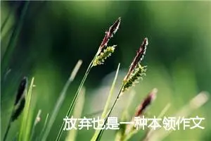 放弃也是一种本领作文1000字_高一作文