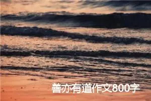 善亦有道作文800字_高一作文