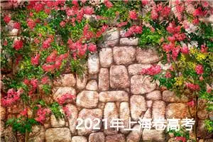 2021年上海卷高考满分作文锦集_高考满分作文