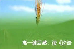高一读后感：读《论语》有感_作文950字_高中读后感