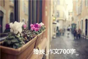 搀扶_作文700字_高中作文范文