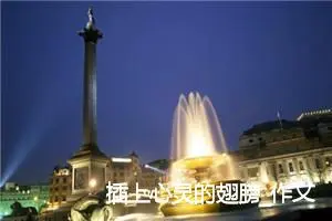 插上心灵的翅膀_作文900字_高中优秀作文