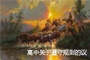 高中关于遵守规则的议论文作文_作文1150字_高中议论文作文