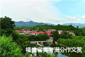 福建省高考满分作文赏析：标签时代的理性目光_高考满分作文