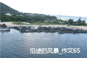 沿途的风景_作文650字_高中作文范文