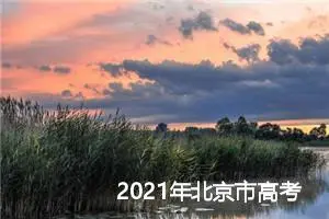 2021年北京市高考满分作文精选_高考满分作文
