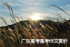 广东高考高考作文赏析：张开双臂，拥抱自然_高考满分作文