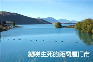凝睇生死的距离厦门市中考满分作文_作文950字_中考作文