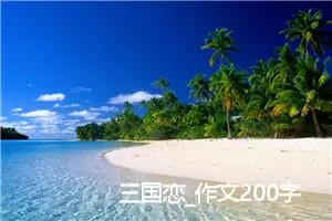 三国恋_作文200字_高中优秀作文
