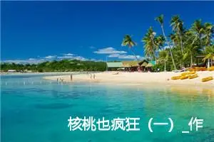 核桃也疯狂（一）_作文1100字_高中作文范文