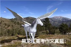 黑龙江高考作文真题：故事之外的风采_作文1350字_高考作文