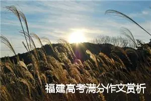 福建高考满分作文赏析:我与真善美诗意栖居_高考满分作文