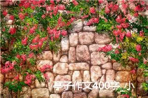 亭子作文400字_小学二年级作文