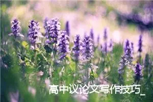 高中议论文写作技巧_作文1050字_高中议论文作文