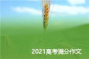 2021高考满分作文议论文:创新_高考满分作文