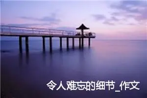 令人难忘的细节_作文2700字_高中作文范文
