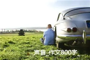 声音_作文800字_高中作文范文