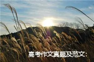 高考作文真题及范文：隔膜_作文1300字_高考作文