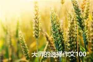 大师的选择作文1000字_高一作文