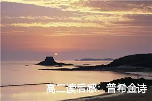 高二读后感：普希金诗选的读后感_作文500字_高中读后感