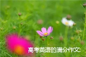 高考英语的满分作文:上网看法_作文1050字_高考作文赏析