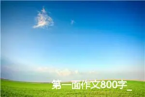 第一面作文800字_高一作文