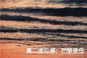 高二读后感：巴黎圣母院的读后感_作文650字_高中读后感