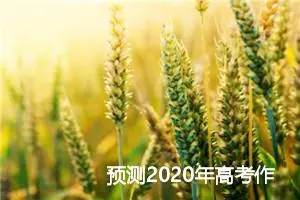 预测2020年高考作文题目：铭记文化_作文1400字_高考作文预测