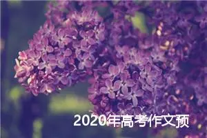 2020年高考作文预测：后世之忧_作文900字_高考作文预测