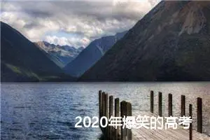 2020年爆笑的高考零分作文赏析_高考零分作文