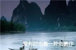 爱有时也是一种伤害作文800字_高三作文