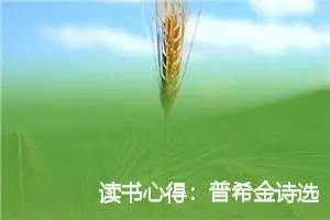 读书心得：普希金诗选读后感500字_高中读后感