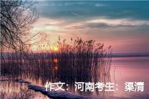 作文：河南考生：渠清如许