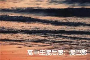 高中生读后感：读巴黎圣母院后的感想_作文650字_高中读后感