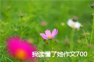 我读懂了她作文700字_高三作文