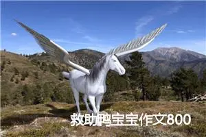 救助鸭宝宝作文800字_高一作文